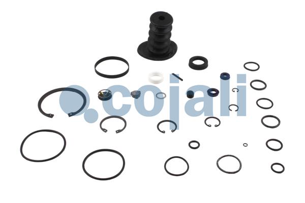Koppelingsbekrachtiger reparatieset Cojali 6032107