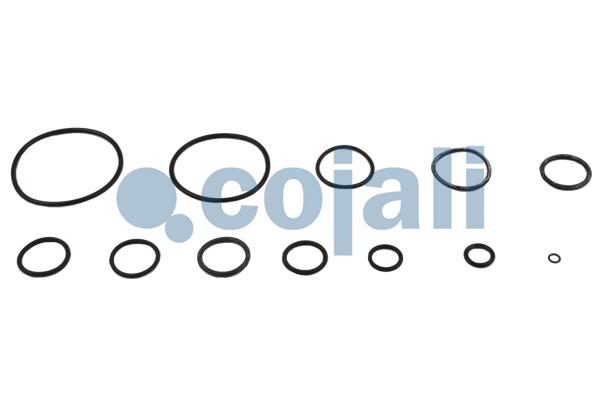 Cojali Koppelingsbekrachtiger reparatieset 6032107