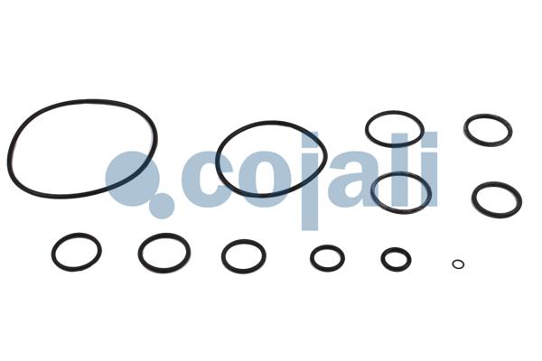 Cojali Koppelingsbekrachtiger reparatieset 6032108