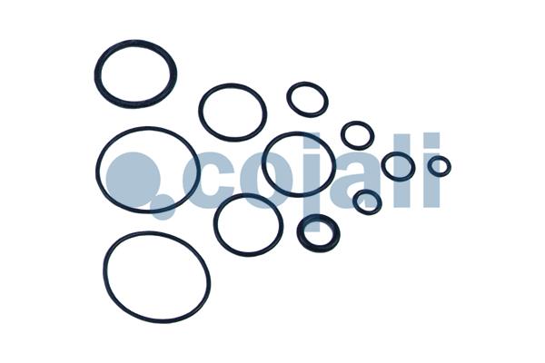 Cojali Koppelingsbekrachtiger reparatieset 6032109