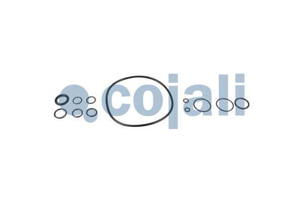 Cojali Koppelingsbekrachtiger reparatieset 6032110