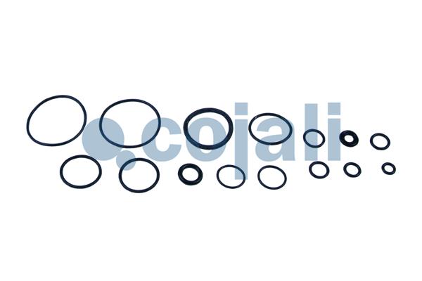 Cojali Koppelingsbekrachtiger reparatieset 6032112