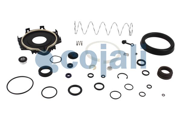 Koppelingsbekrachtiger reparatieset Cojali 6032113