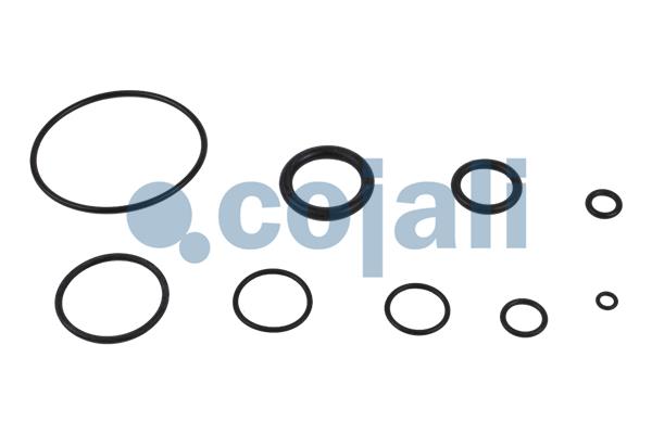 Cojali Koppelingsbekrachtiger reparatieset 6032113