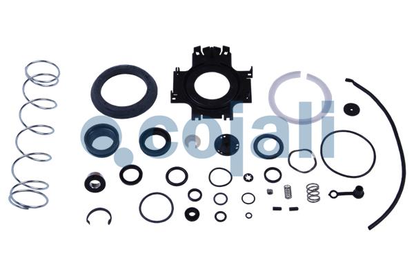 Koppelingsbekrachtiger reparatieset Cojali 6032114