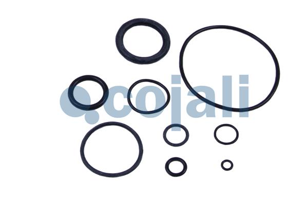 Cojali Koppelingsbekrachtiger reparatieset 6032114