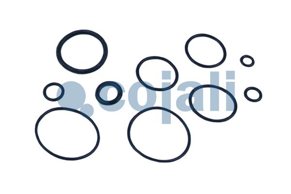 Cojali Koppelingsbekrachtiger reparatieset 6032115