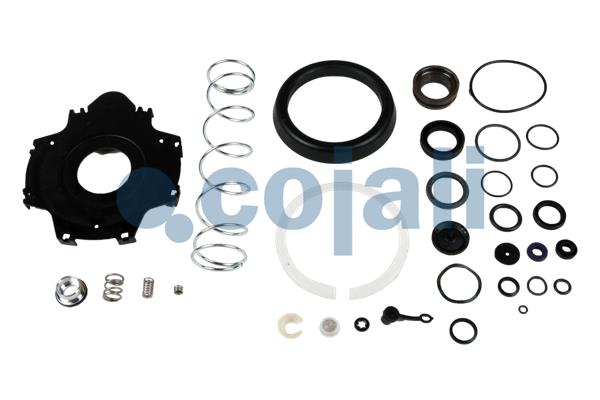 Koppelingsbekrachtiger reparatieset Cojali 6032118