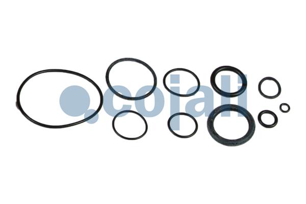 Cojali Koppelingsbekrachtiger reparatieset 6032118