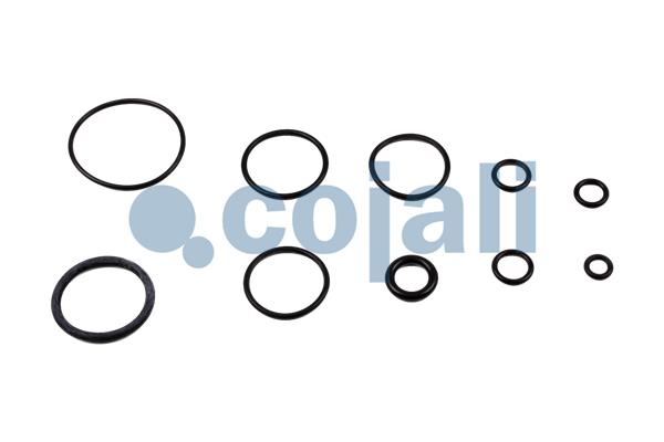 Cojali Koppelingsbekrachtiger reparatieset 6032119