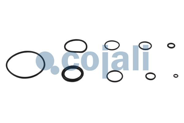 Cojali Koppelingsbekrachtiger reparatieset 6032120