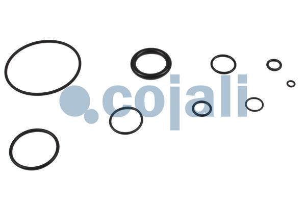 Cojali Koppelingsbekrachtiger reparatieset 6032121
