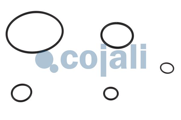Cojali Koppelingsbekrachtiger reparatieset 6032122
