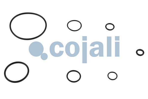 Cojali Koppelingsbekrachtiger reparatieset 6032123