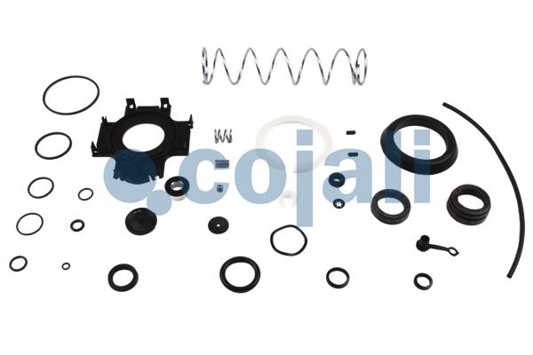 Koppelingsbekrachtiger reparatieset Cojali 6032124