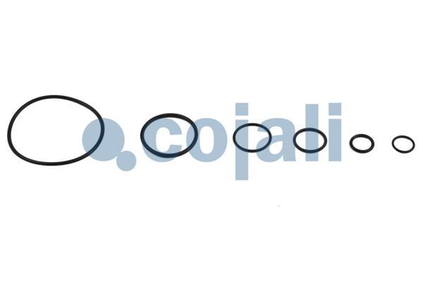 Cojali Koppelingsbekrachtiger reparatieset 6032125