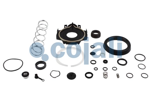Koppelingsbekrachtiger reparatieset Cojali 6032126