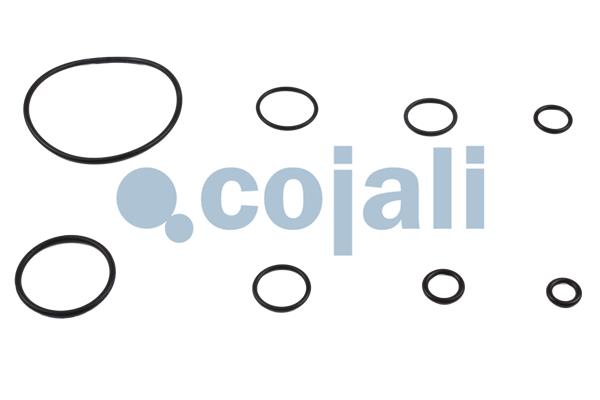 Cojali Koppelingsbekrachtiger reparatieset 6032126