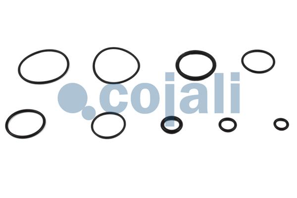 Cojali Koppelingsbekrachtiger reparatieset 6032127