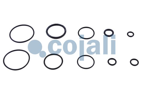 Cojali Koppelingsbekrachtiger reparatieset 6032128