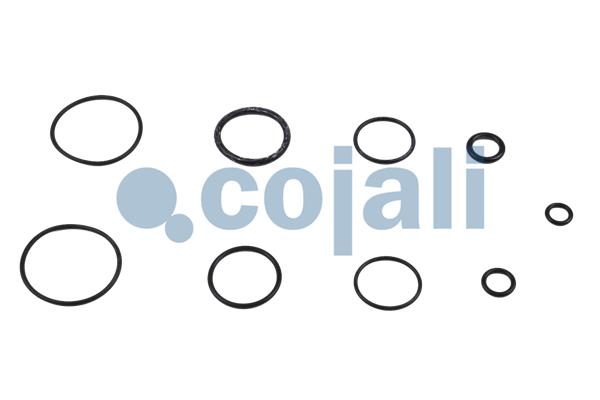 Cojali Koppelingsbekrachtiger reparatieset 6032129