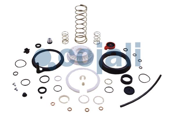 Koppelingsbekrachtiger reparatieset Cojali 6032130