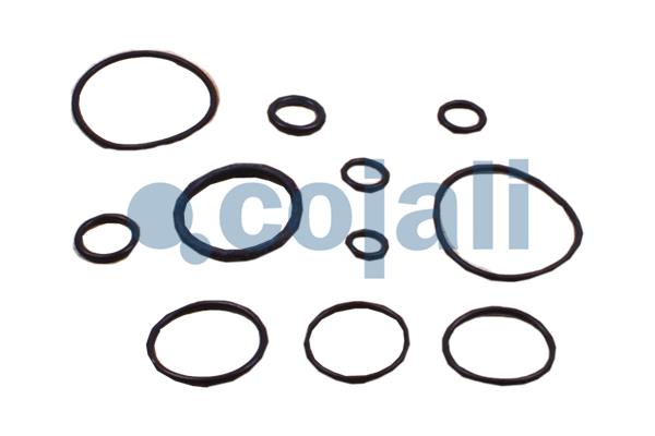 Cojali Koppelingsbekrachtiger reparatieset 6032130