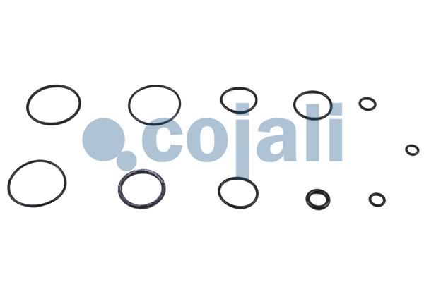 Cojali Koppelingsbekrachtiger reparatieset 6032131