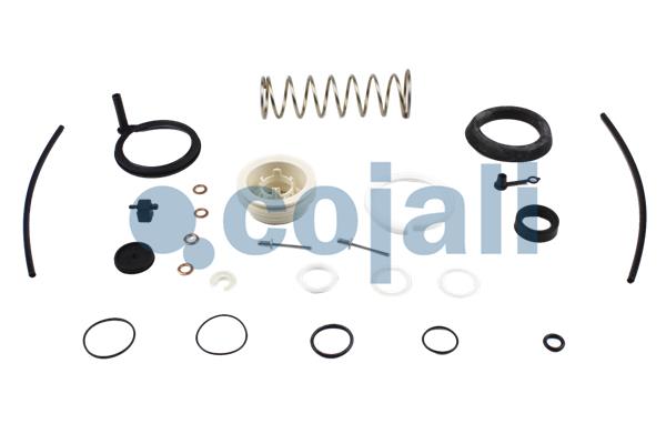Koppelingsbekrachtiger reparatieset Cojali 6032132