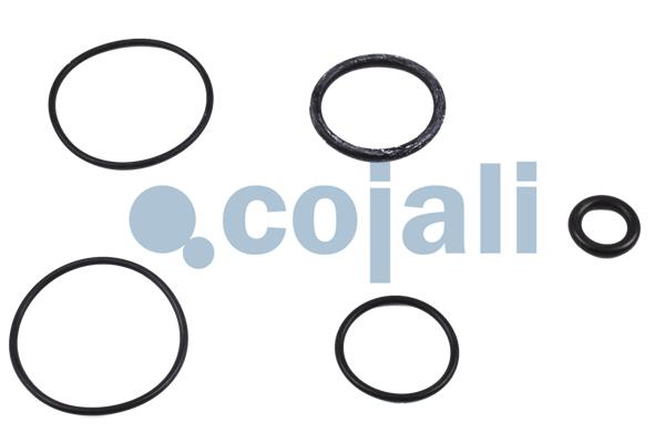 Cojali Koppelingsbekrachtiger reparatieset 6032132