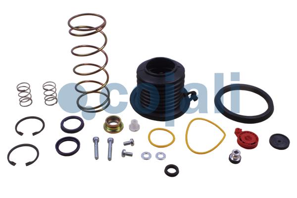 Cojali Koppelingsbekrachtiger reparatieset 6032133