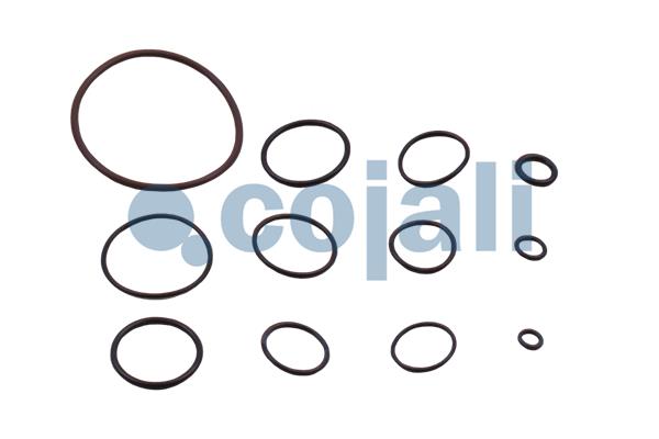 Cojali Koppelingsbekrachtiger reparatieset 6032133