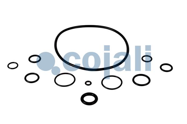 Cojali Koppelingsbekrachtiger reparatieset 6032134
