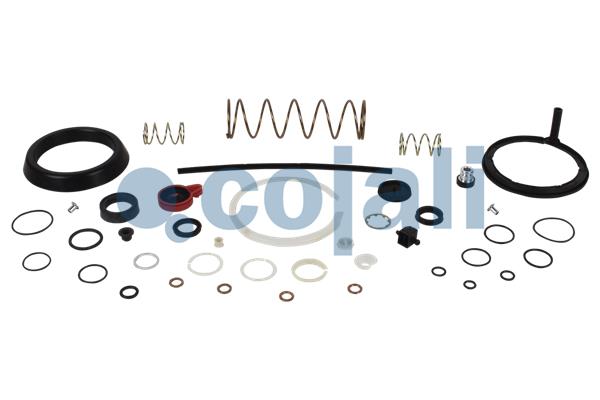 Koppelingsbekrachtiger reparatieset Cojali 6032135