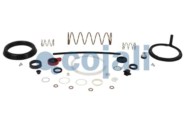 Cojali Koppelingsbekrachtiger reparatieset 6032135