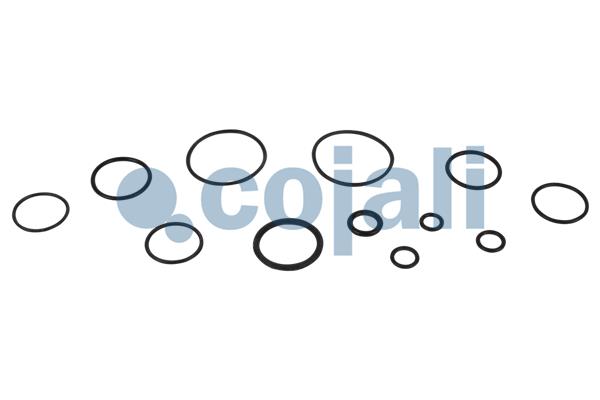 Cojali Koppelingsbekrachtiger reparatieset 6032135