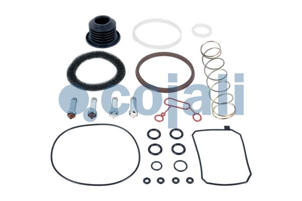 Koppelingsbekrachtiger reparatieset Cojali 6032140