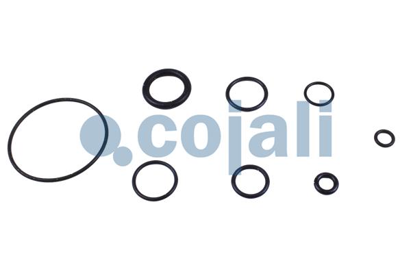 Cojali Koppelingsbekrachtiger reparatieset 6034001