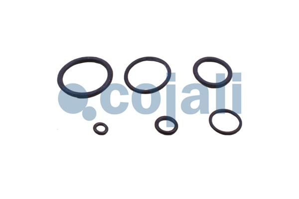 Cojali Koppelingsbekrachtiger reparatieset 6034002