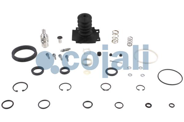 Koppelingsbekrachtiger reparatieset Cojali 6034003