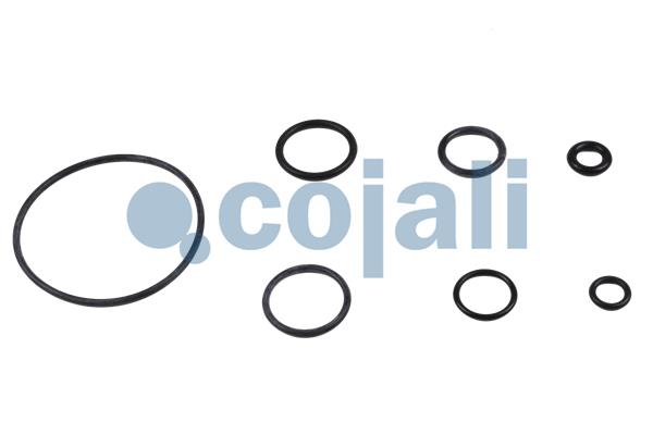 Cojali Koppelingsbekrachtiger reparatieset 6034003