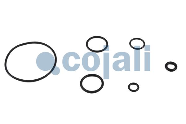 Cojali Koppelingsbekrachtiger reparatieset 6034004