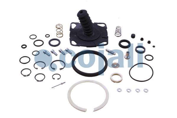 Koppelingsbekrachtiger reparatieset Cojali 6034005