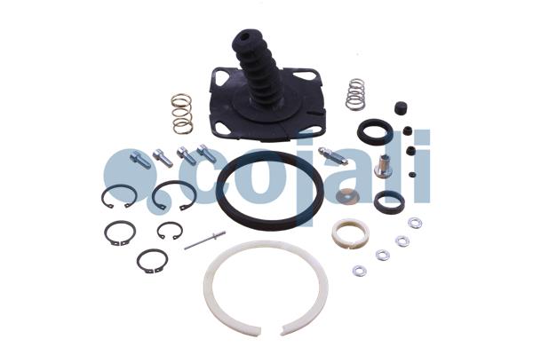 Cojali Koppelingsbekrachtiger reparatieset 6034005