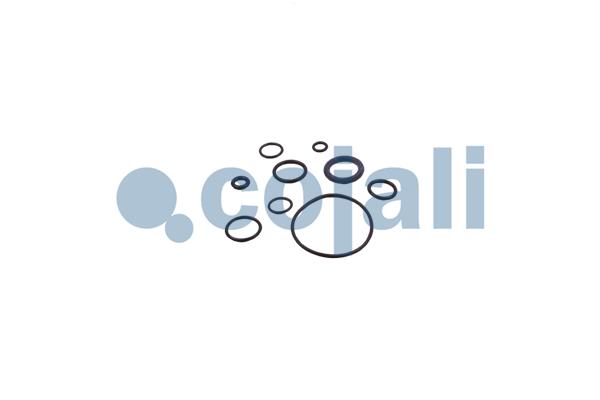 Cojali Koppelingsbekrachtiger reparatieset 6034005