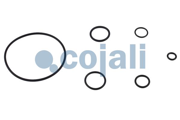 Cojali Koppelingsbekrachtiger reparatieset 6034006