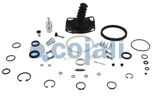 Koppelingsbekrachtiger reparatieset Cojali 6034007