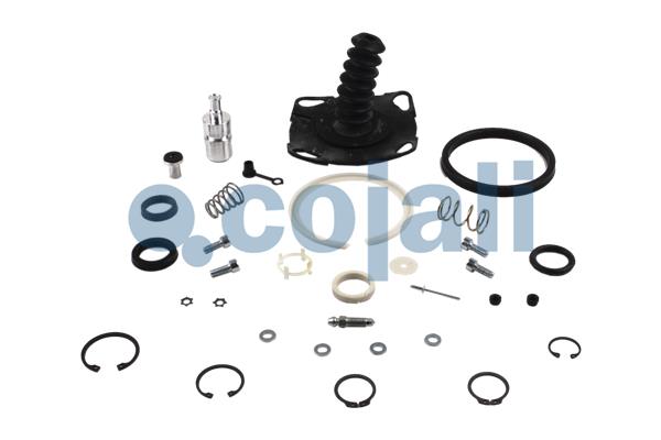 Cojali Koppelingsbekrachtiger reparatieset 6034007