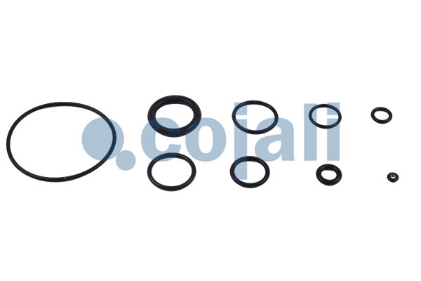 Cojali Koppelingsbekrachtiger reparatieset 6034007