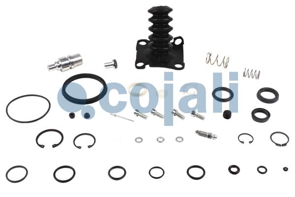 Koppelingsbekrachtiger reparatieset Cojali 6034008